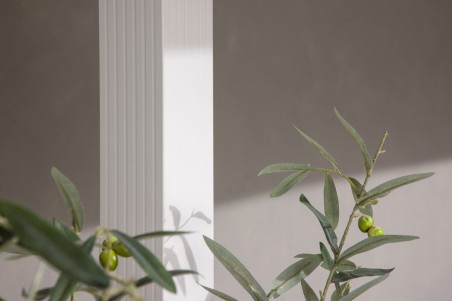 Lazio pergola 300x300x250 cm vit Venture Home