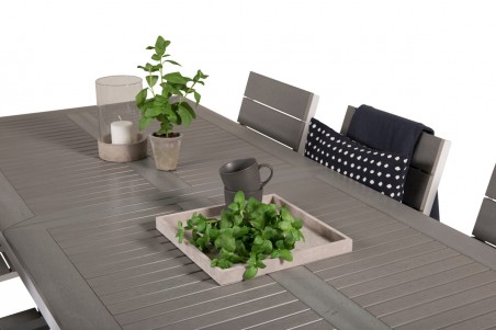 Albany, Levels matgrupp 1 bord + 6 stolar grå/vit Venture Home