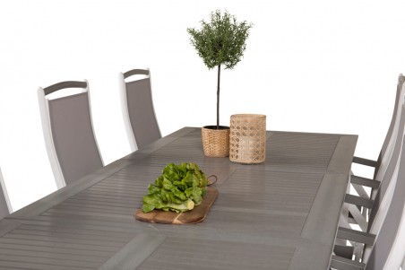 Albany matgrupp 224/324x100 cm grå/vit Venture Home