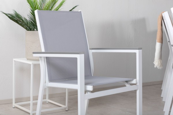 Albany & Parma matgrupp 1 bord + 10 stolar vit/grå Venture Home