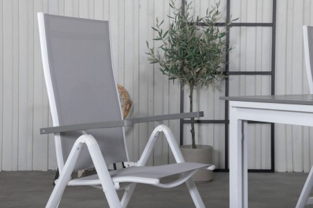 Levels & Albany matgrupp 1 bord + 4 stolar vit/grå Venture Home