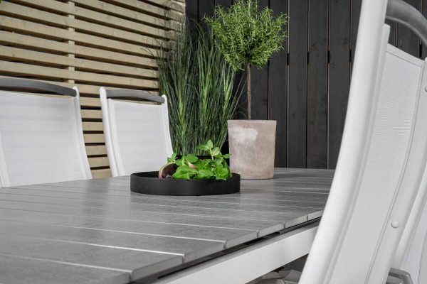 Levels & Albany matgrupp 1 bord + 10 stolar vit/grå Venture Home