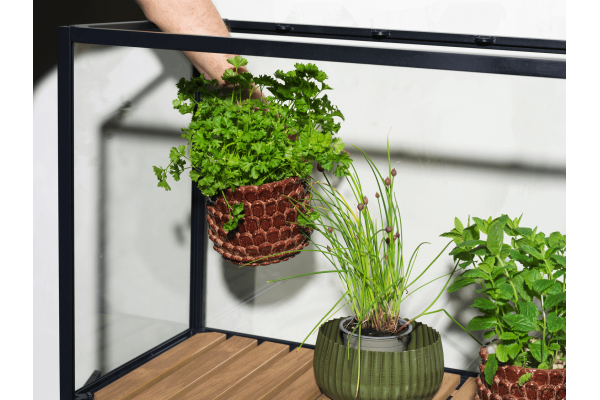 Grower Greens växtskåp hög svart Brafab