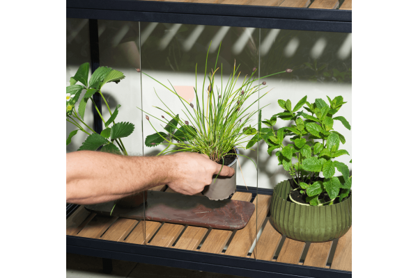 Grower Greens växtskåp hög svart Brafab