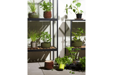 Grower Greens växtskåp hög svart Brafab